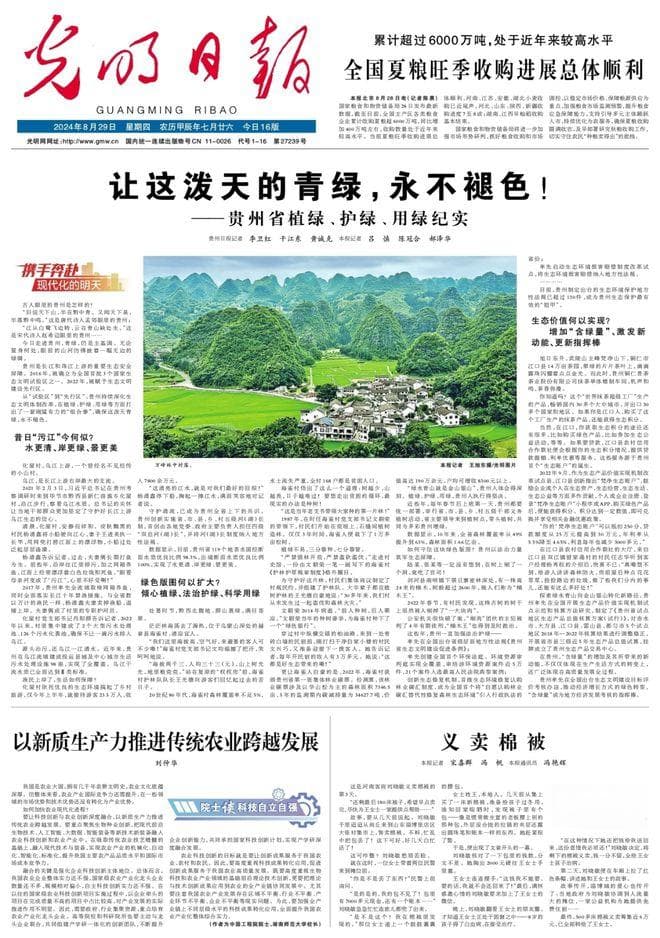 以新质生产力为引擎，深加工如何赋能茶产业打好下半场？