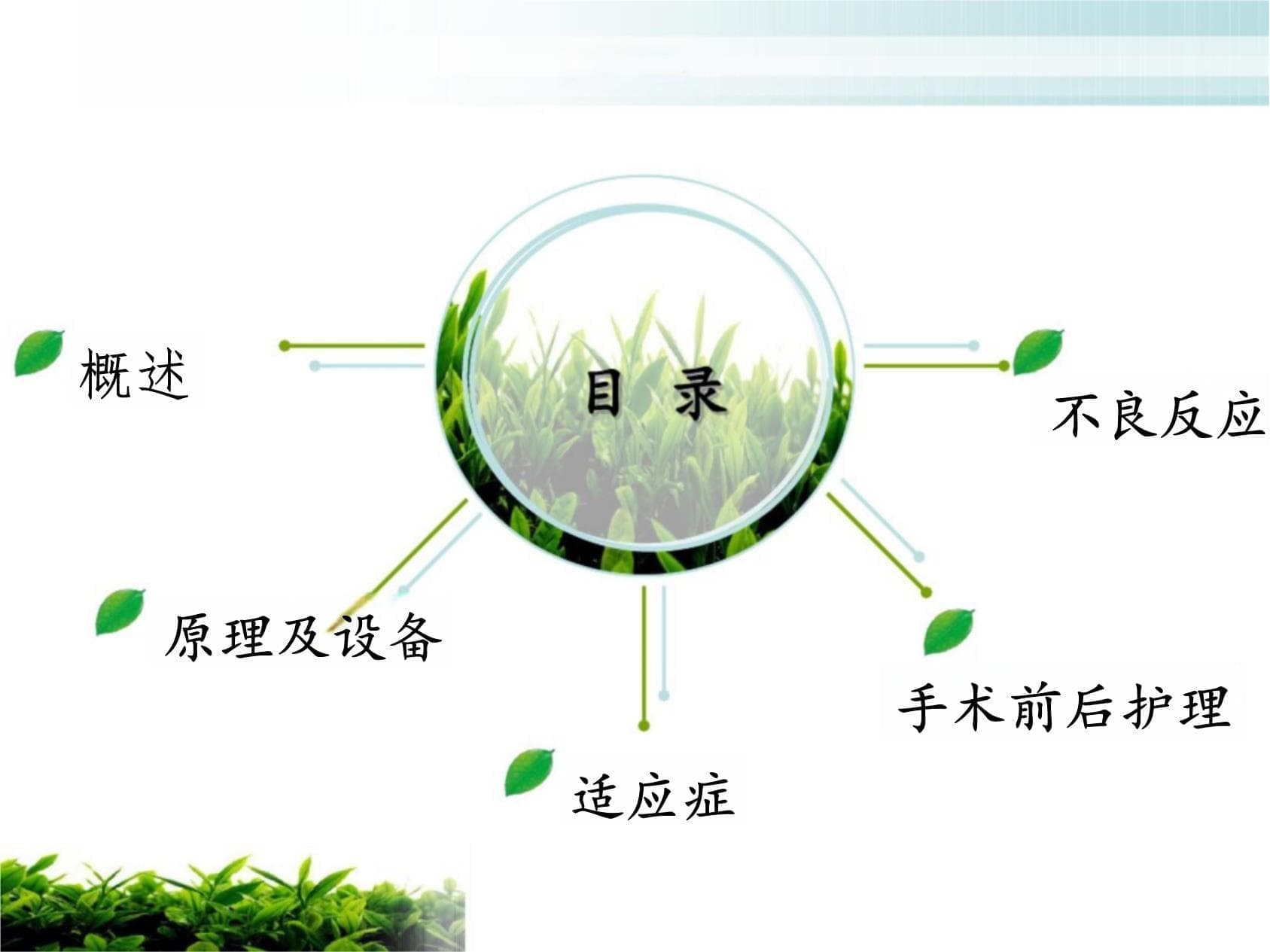 肝动脉化疗栓塞术（TACE）详解