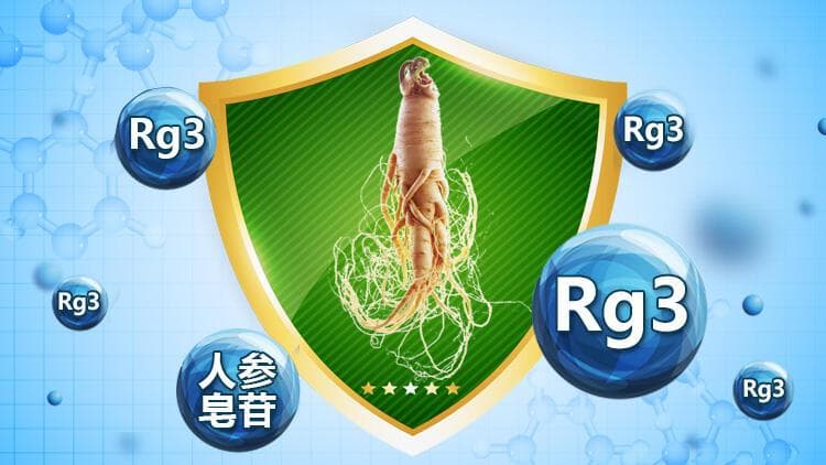 人参皂苷的功效与作用及禁忌