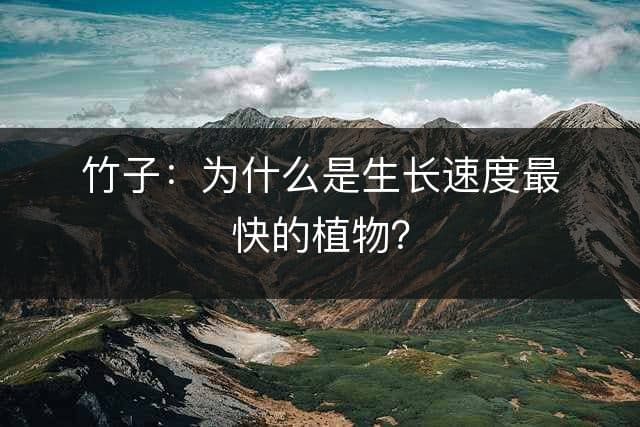 竹子：为什么是生长速度最快的植物？