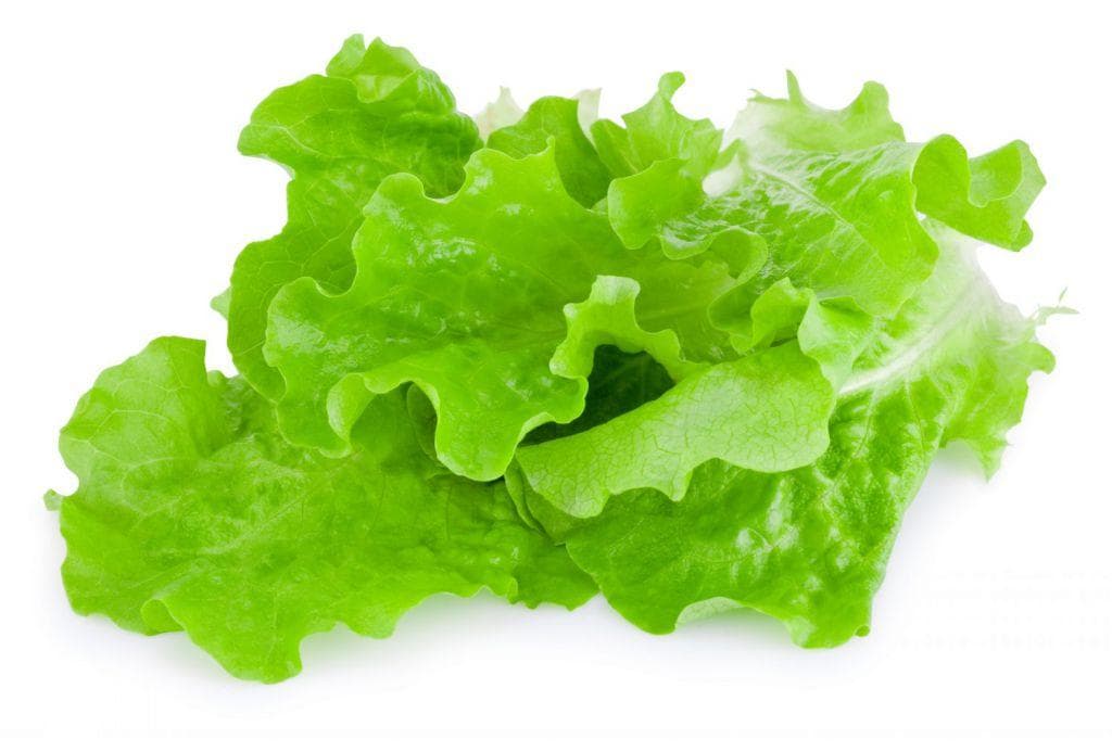 一日三餐健康食谱：均衡营养，活力满满每一天！