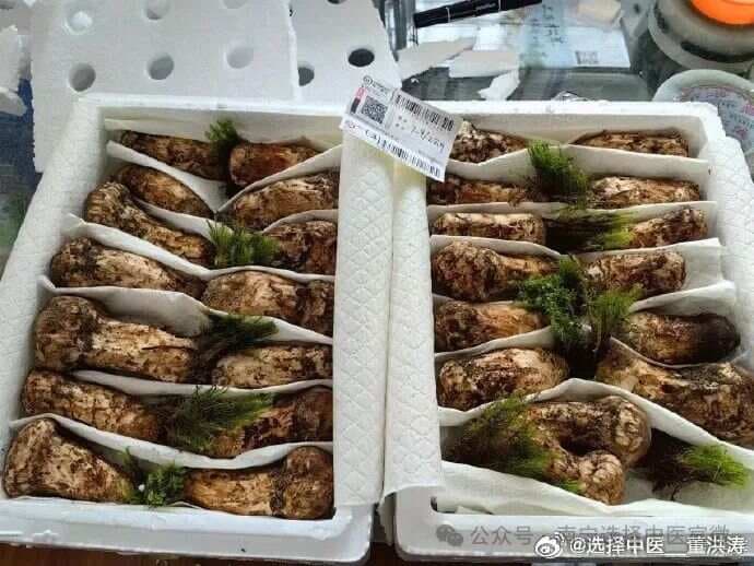 松茸的主要功效，适用人群及食用方法