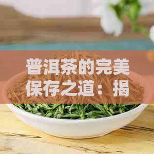 普洱茶的完美保存之道：揭秘如何通过专业方法延长其风味与香气