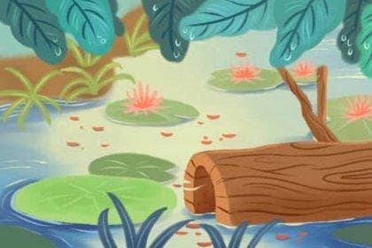 五行中五音是什么意思