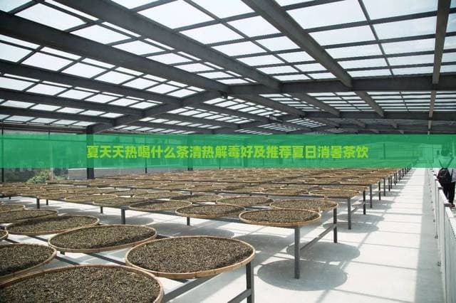 夏天天热喝什么茶清热解毒好及推荐夏日消暑茶饮