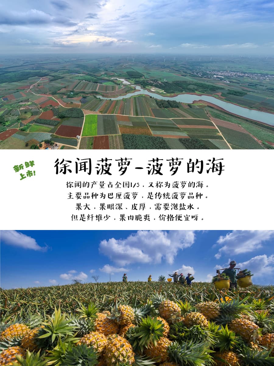 你的3月份吃水果指南来啦-水果杂志
