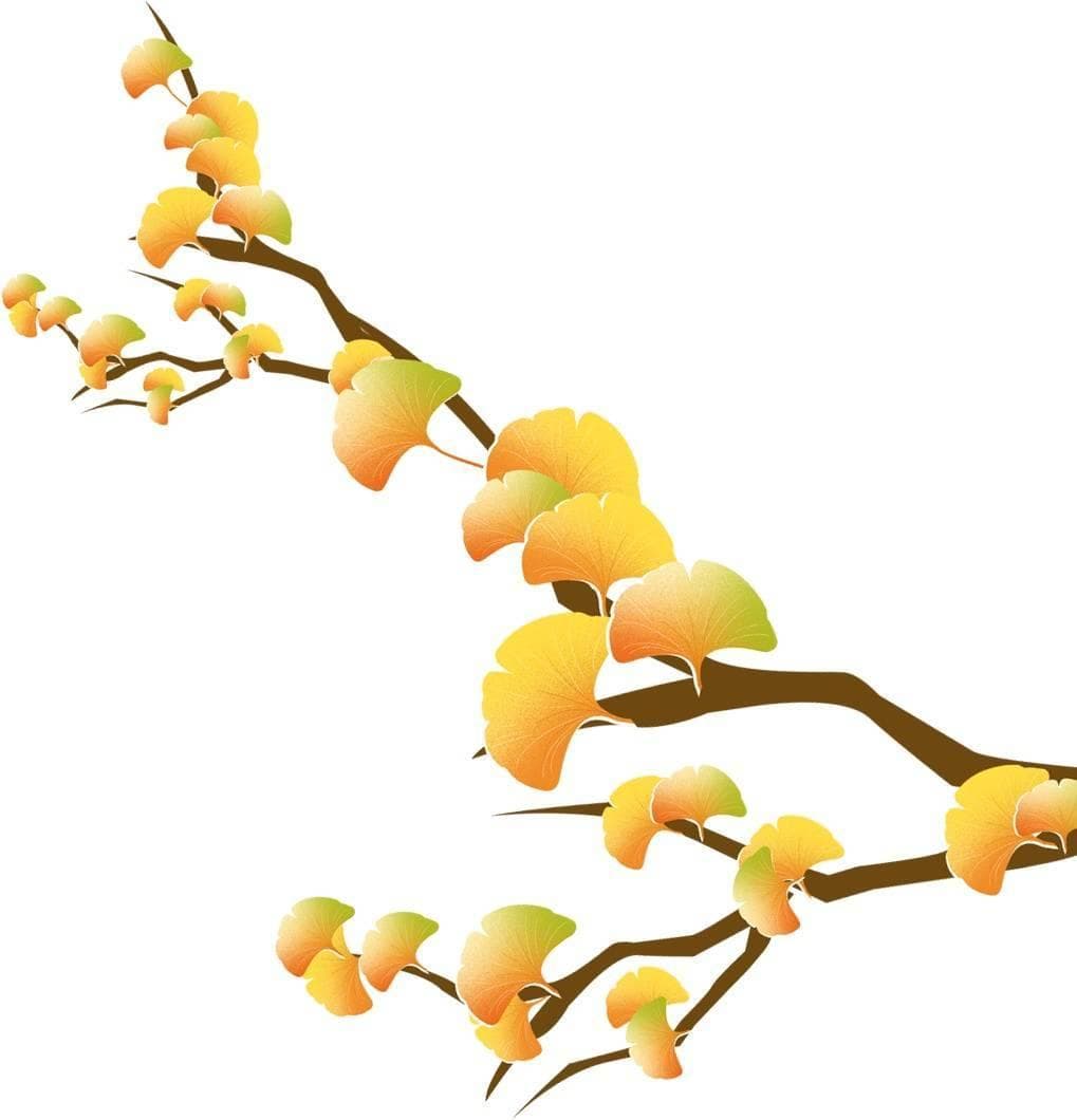 秋冬季行车安全指南：这些细节你注意到了吗？