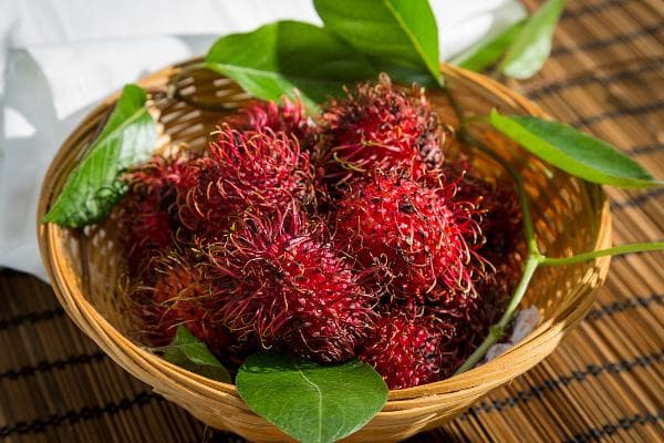 红毛丹种植技术与注意事项：从选种到管理的全面指南