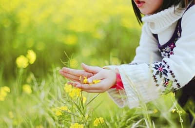 “校花”和“校草”英文怎么说