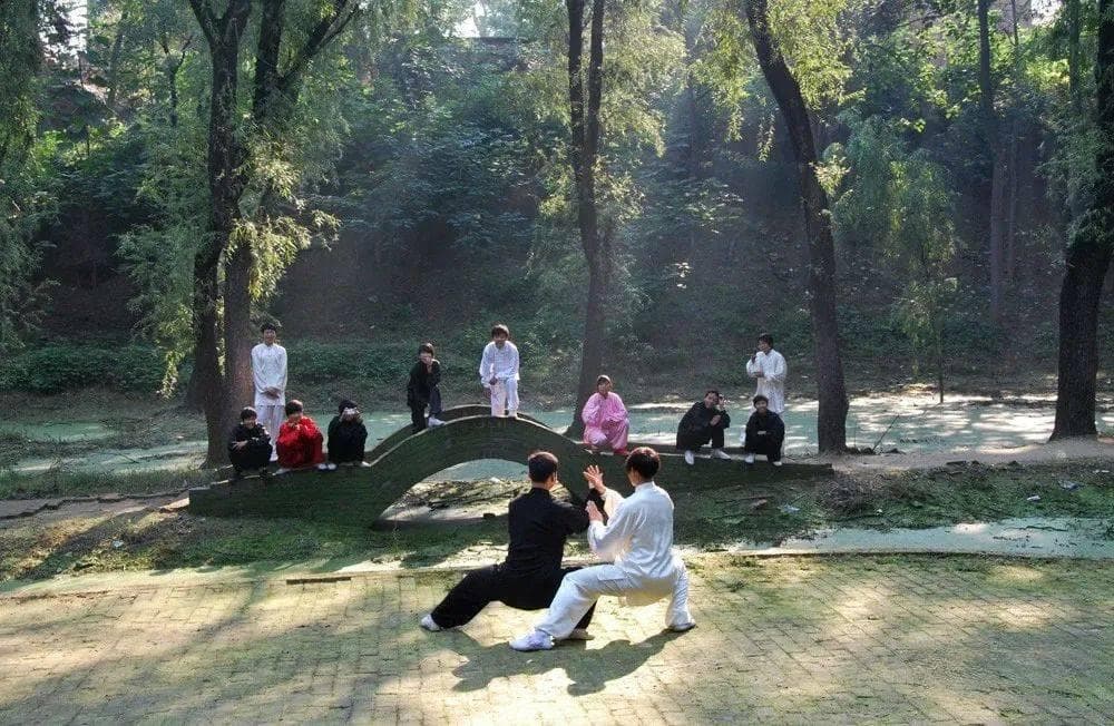 专家：太极拳自学难成正果，必须经过系统训练
