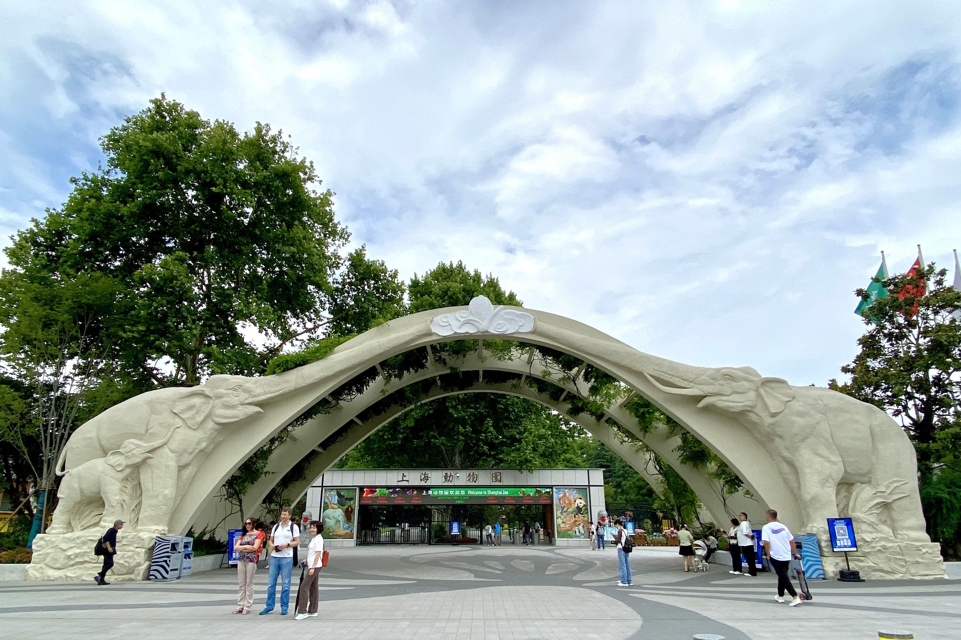 上海动物园建园70周年，长三角动物园联盟成立