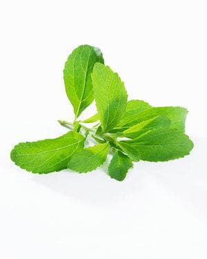 甜叶菊的功效与食用指南