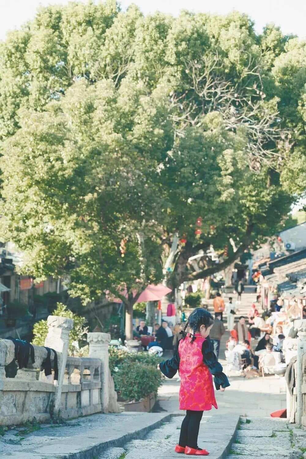 绍兴古城出片，这些“绝美机位”别错过！