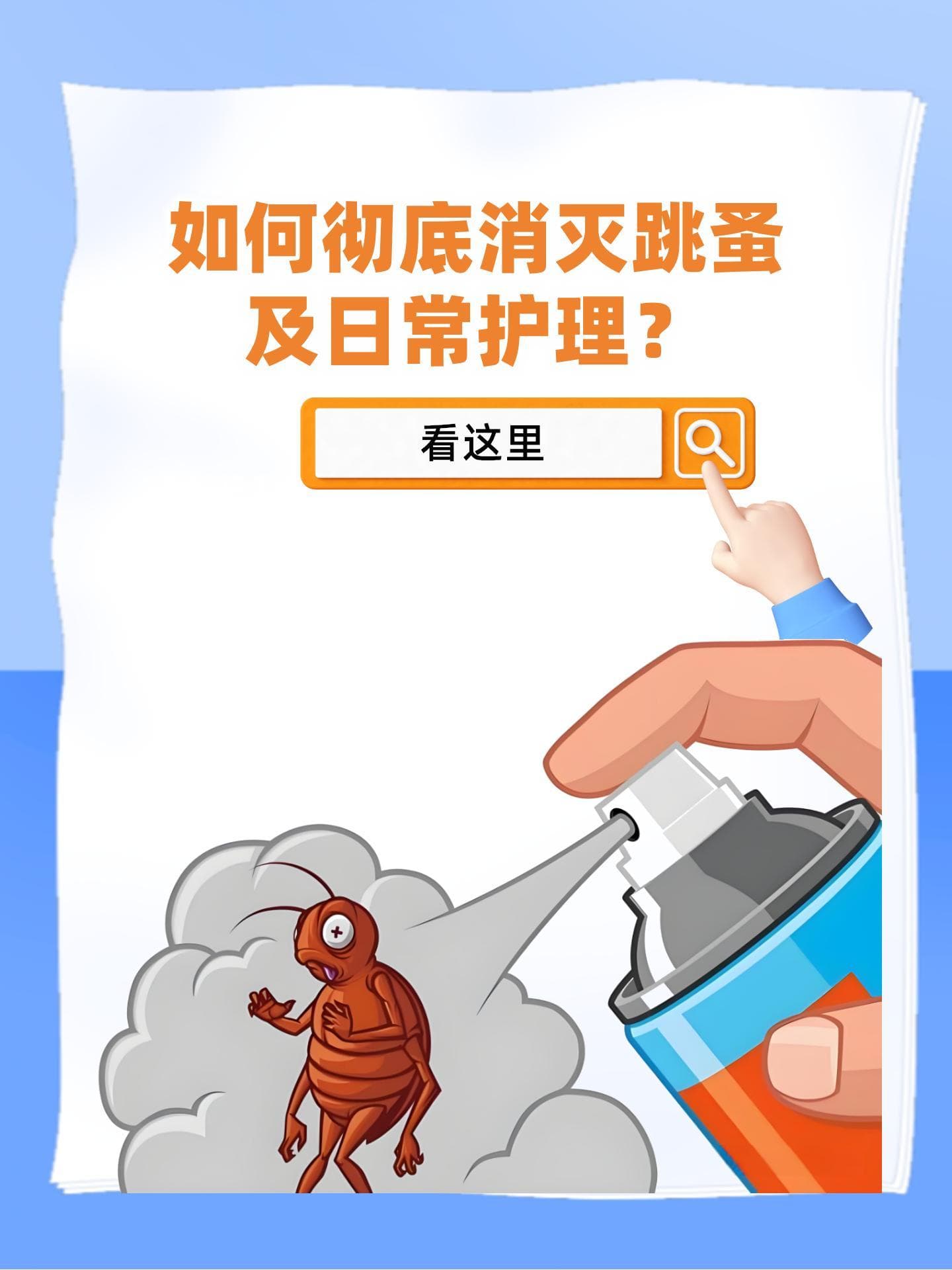 如何彻底消灭跳蚤及日常护理？看这里