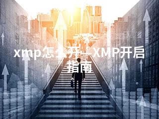 XMP开启指南：如何为照片添加元数据信息