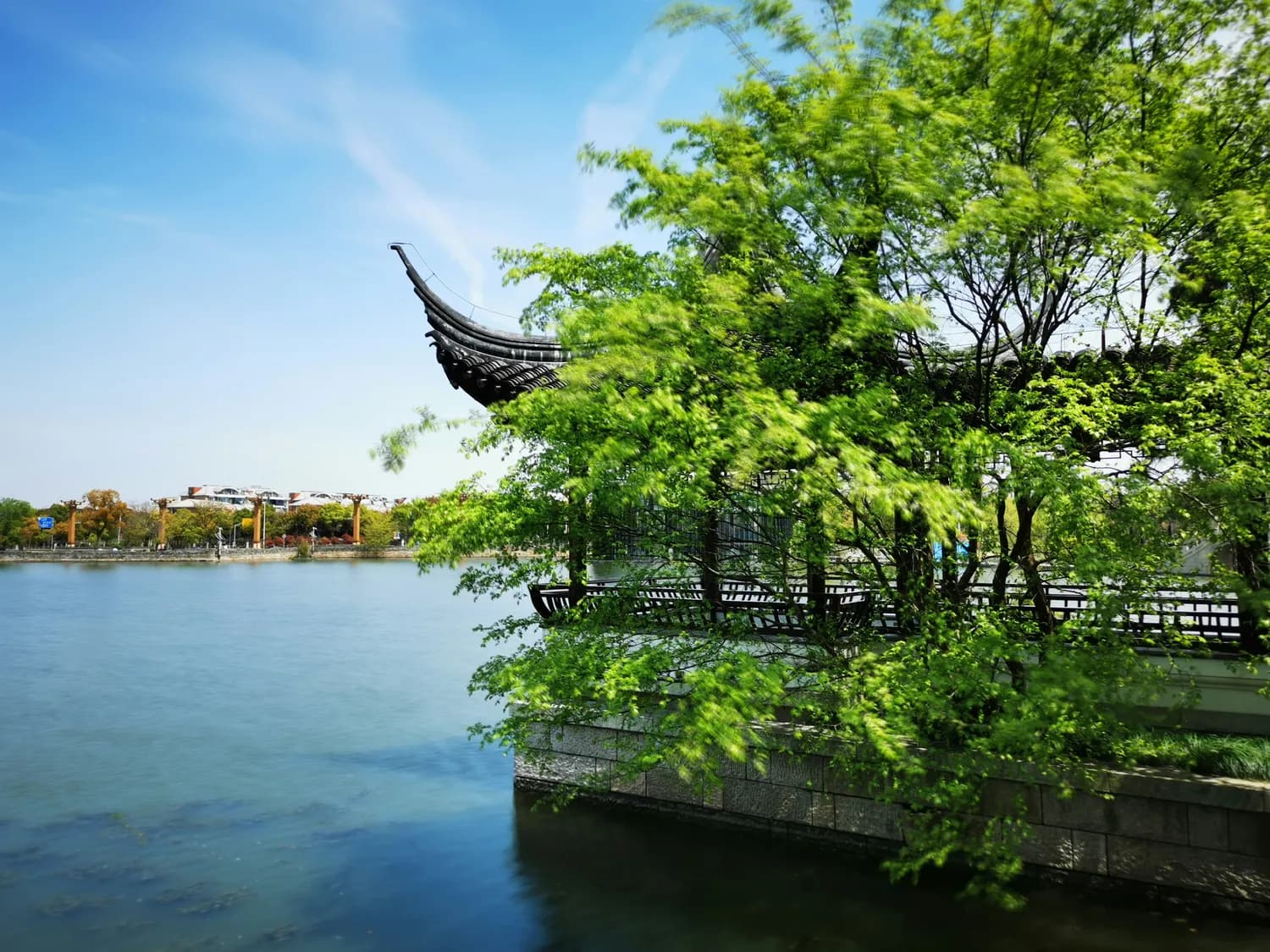 云林书院&飞来峰：西湖文化探秘之旅