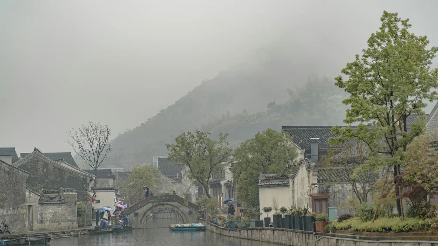 《渔歌子》意境美爆，张志和教你如何诗意生活