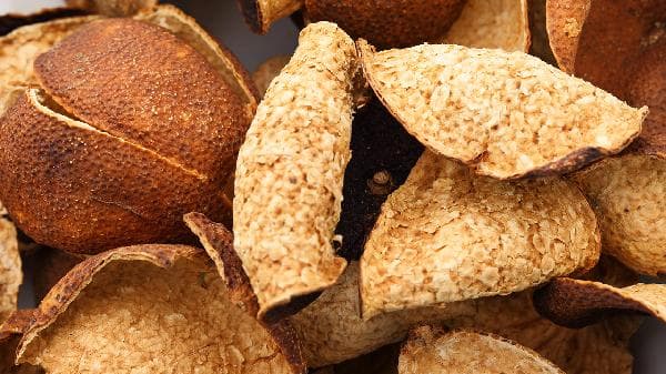 陈皮是哪种果子的皮？从来源到应用的全面解析