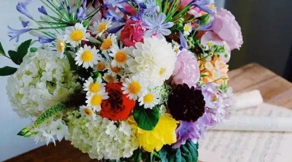 切花保鲜全攻略：12个实用技巧让鲜花常开不败