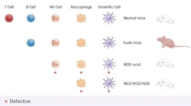 小分子化合物 (抑制剂，激动剂等) 的溶解、储存、稀释及如何给药