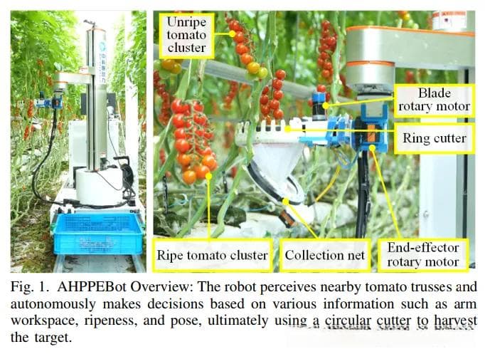 AHPPEBot：基于表型和姿态估计的自主番茄采摘机器人