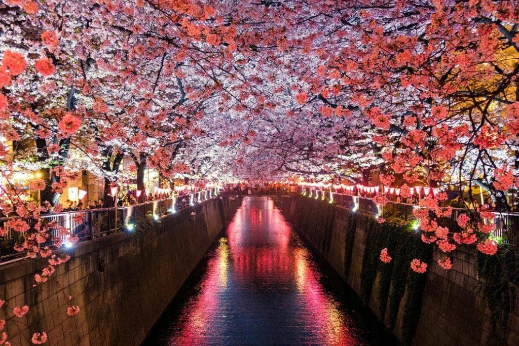 日本最佳旅游时间：淡季是什麼時候？日本四季推荐景点总整理