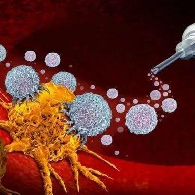 重新唤醒抗癌战斗力！《科学》：一个变化，让T细胞持久击杀肿瘤