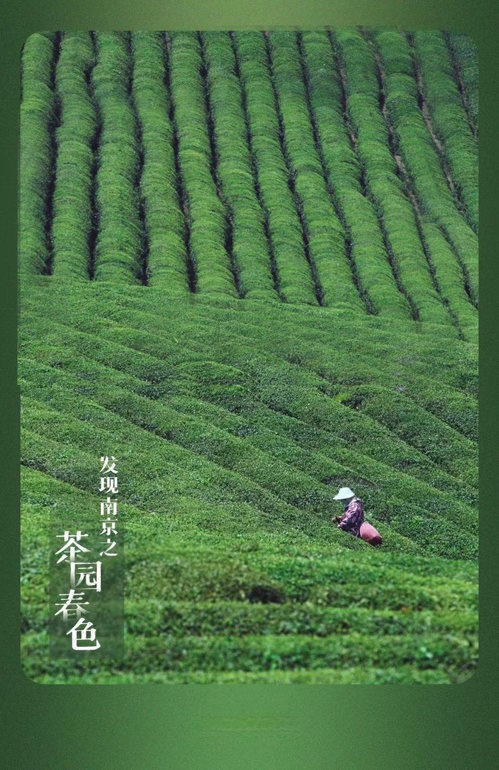在南京，我被香了一口！