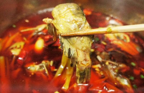 火锅底料的别样人生の水煮黄辣丁