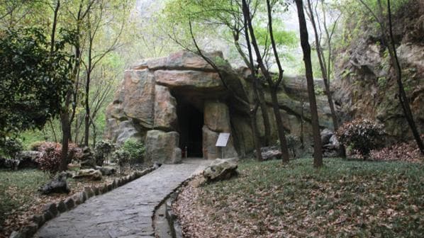 南京发现两具35万年前猿人头骨，为古人类研究提供重要实证