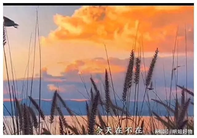 一首《苹果香》引发的思考：为什么原唱没火，翻唱却爆红？