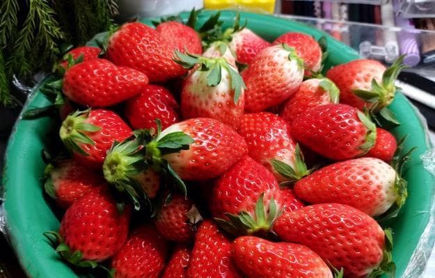 草莓的保鲜秘密：从购买到食用的全方位指南
