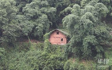 农村宅基地建房标准是什么,是否有具体的规定