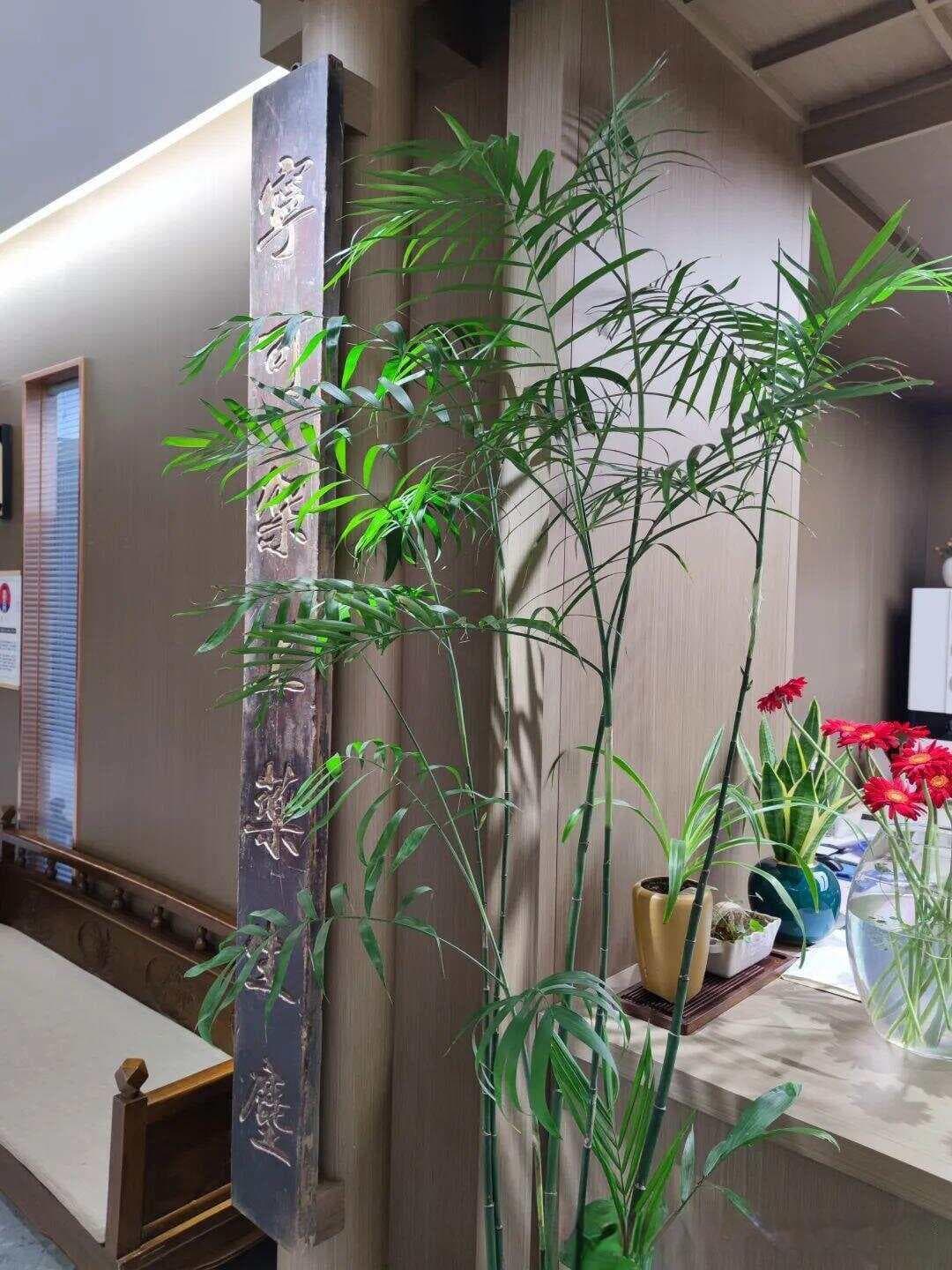 揭秘中医脉诊：阴虚与阳虚的微妙差异