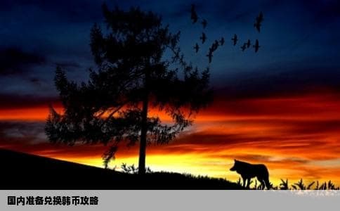 我准备去韩国旅游在国内怎么兑换韩币