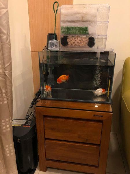水族箱滤材配置完全指南：从基础原理到实战案例