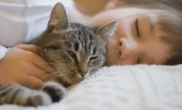 想和猫咪共度甜蜜夜？同床共寝？警惕五大健康隐患与睡眠杀手