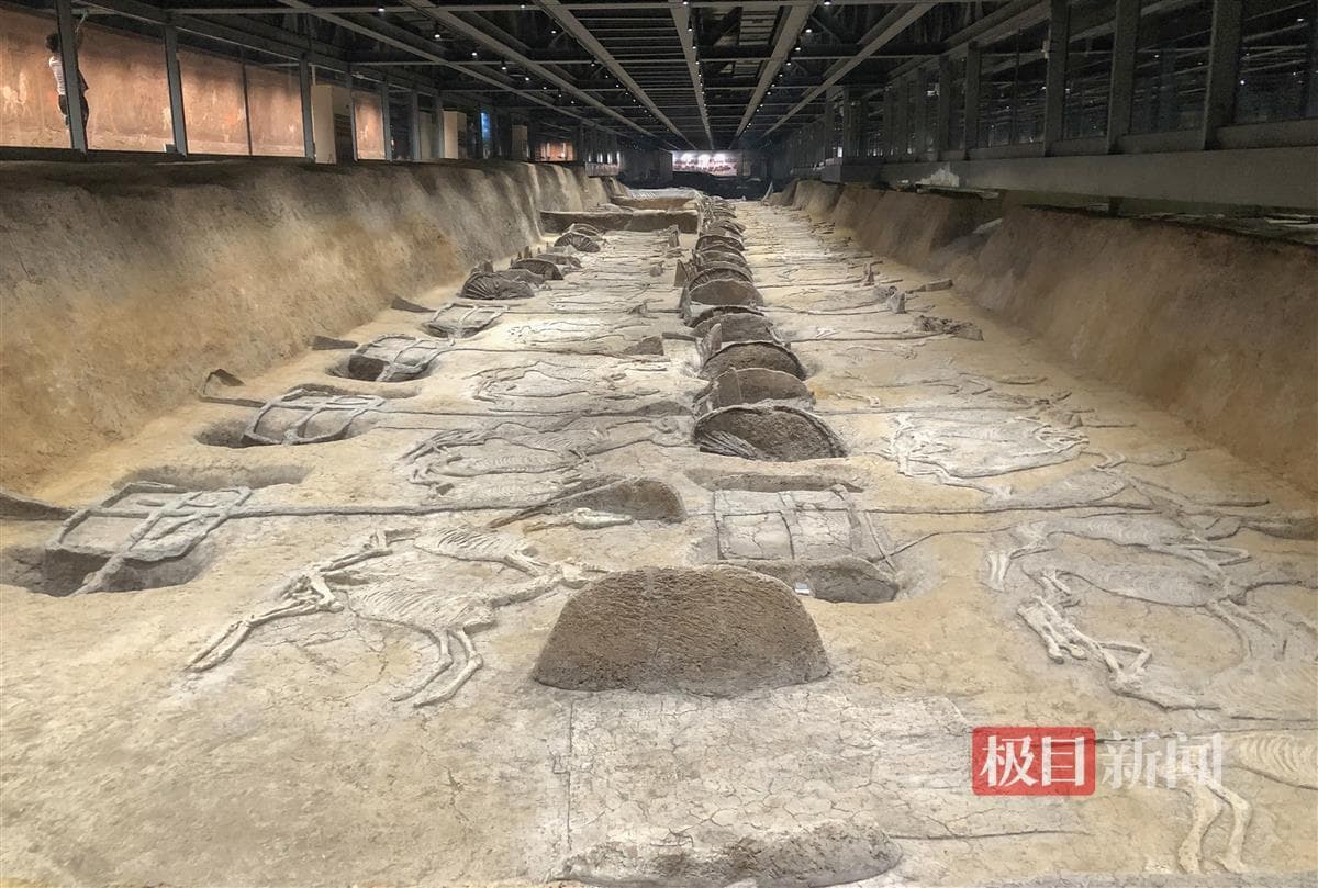 荆州出土“和氏璧”首次展出，湖北楚王车马阵上新34件套珍贵文物