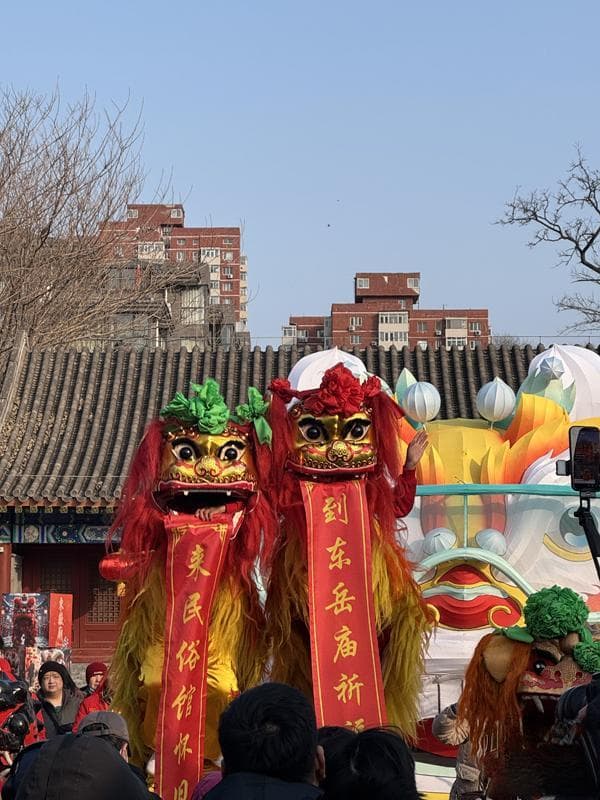 千狮闹春、非遗大集 北京朝阳“新老”两大庙会火爆出圈