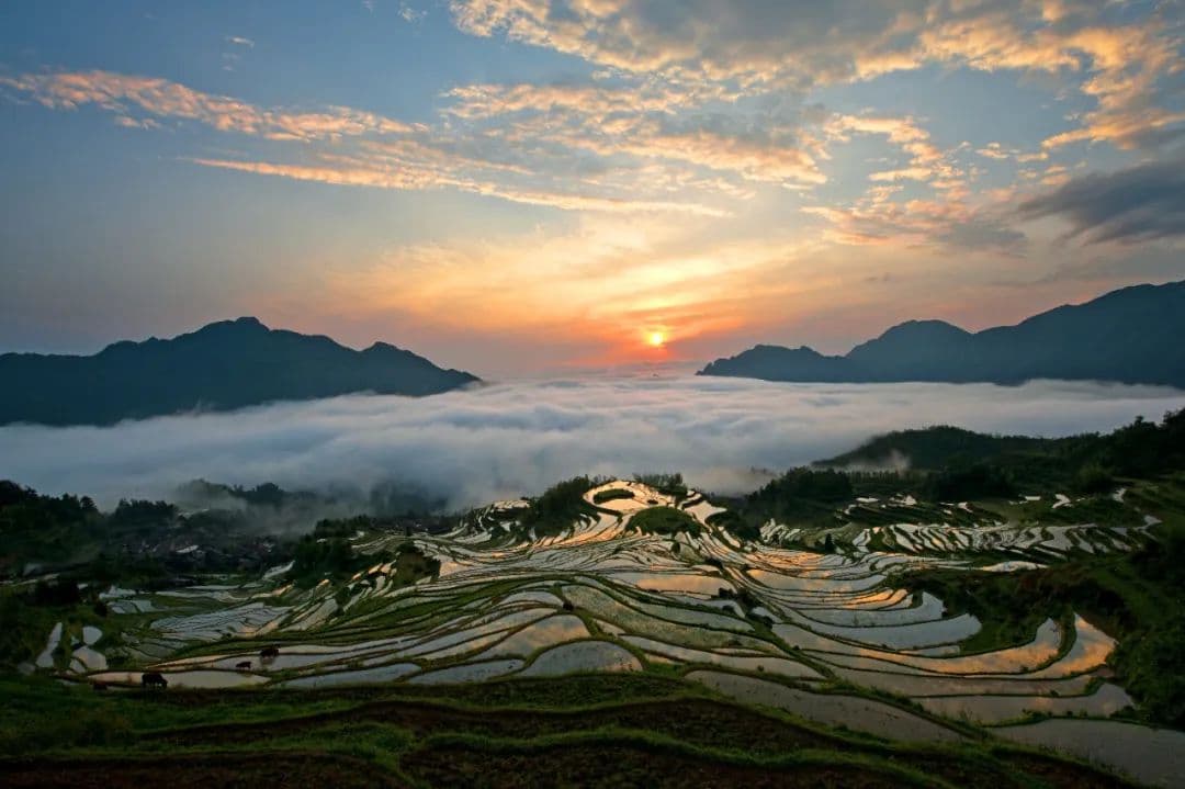云和梯田：观云雾沧海，见浮云世界