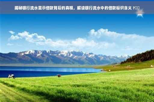 揭秘银行流水显示借款背后的真相，解读银行流水中的借款标识含义