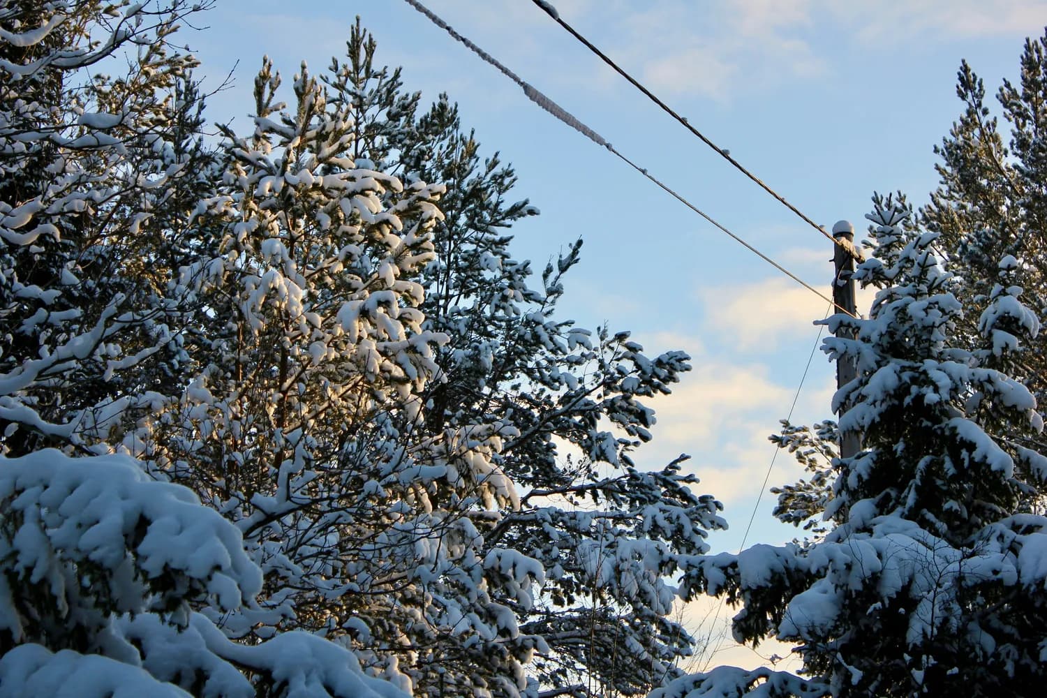 光雾山冬季雪景打卡地，你值得拥有！