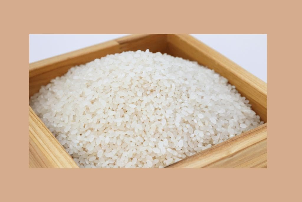 如何选米？米的保存方法有哪些？去除米虫大作战！
