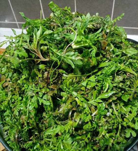 春菜毒性排行榜！这4种野菜必须焯水