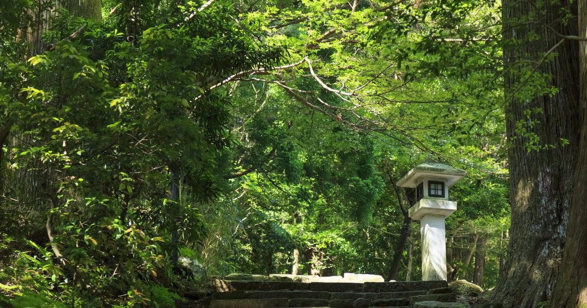 熊野古道：日本最著名的宗教朝圣之路