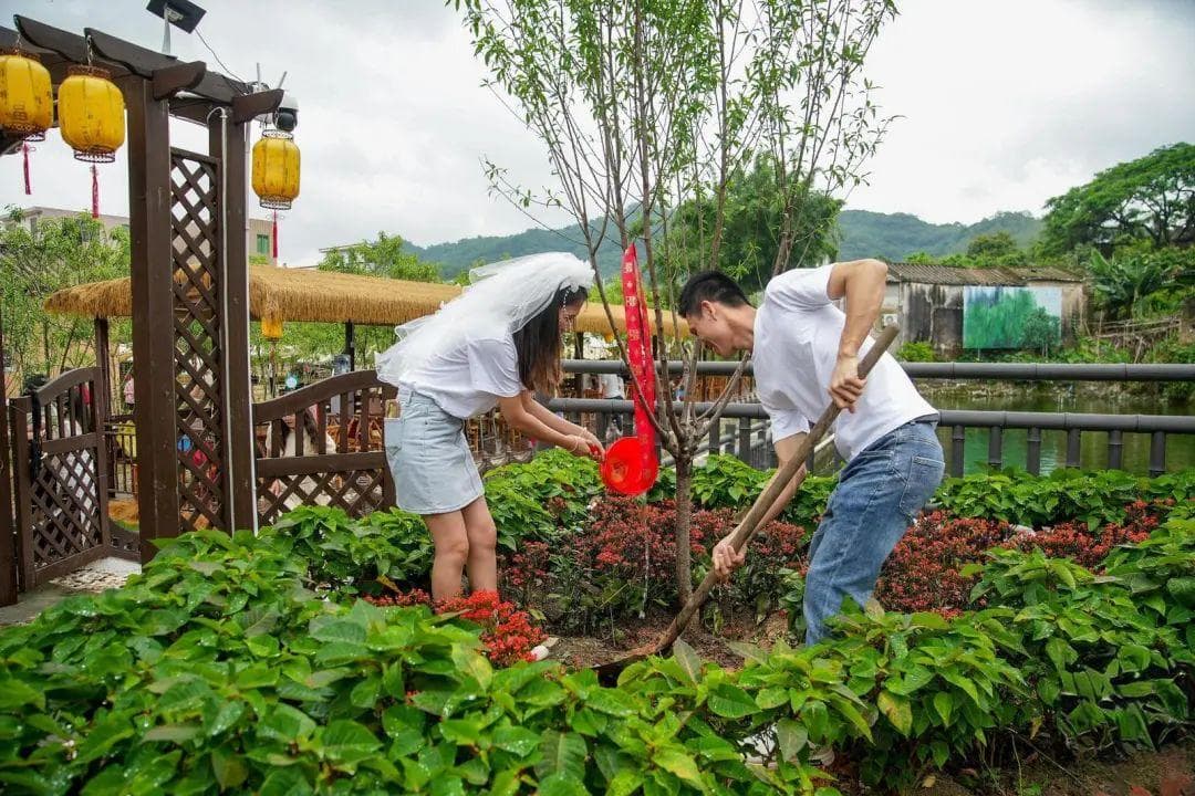 广东两婚俗改革实验区：婚事简办配专业辅导，传统新风并蒂开