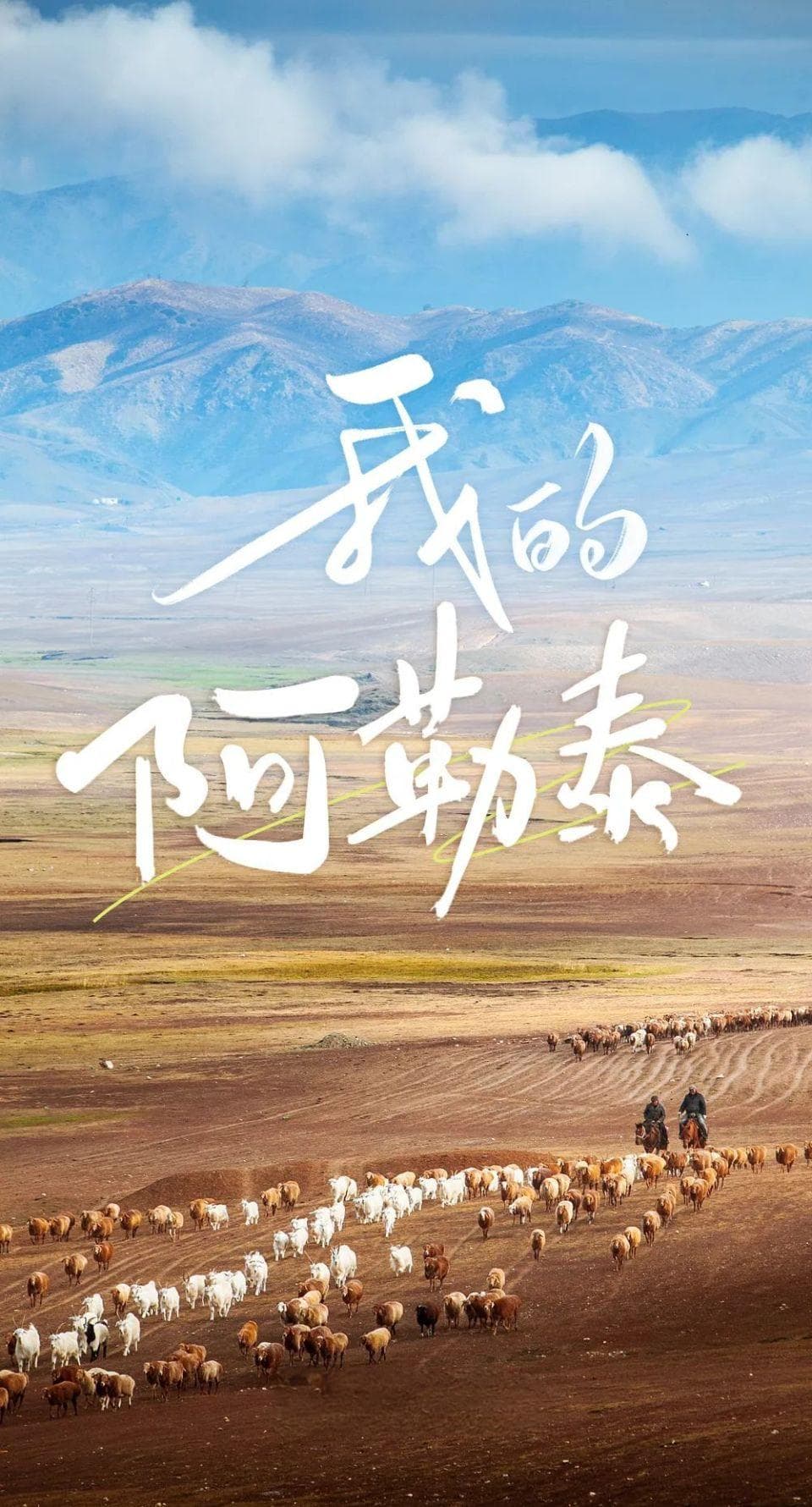 出发，去我们的“阿勒泰”