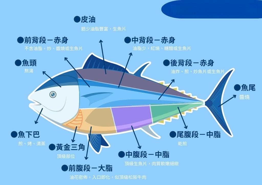 黑鲔鱼季到！黑鲔鱼哪里最好吃？不只生鱼片 黑鲔鱼从头到尾吃法曝