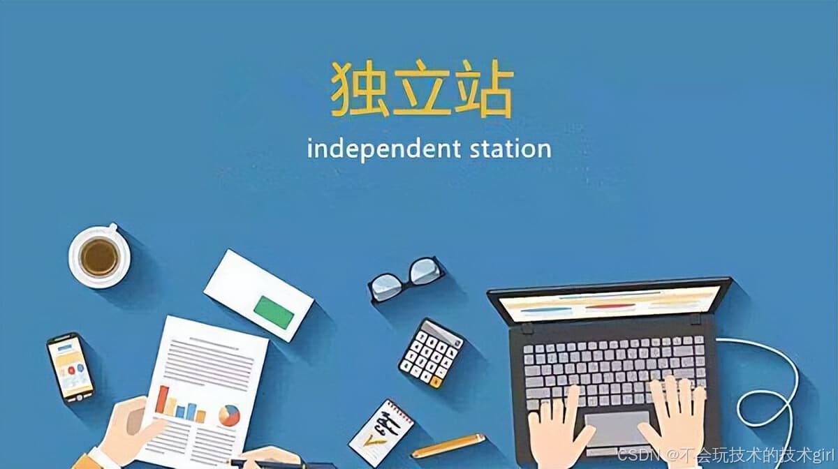 对于小型企业，独立站和电商平台哪个更经济？
