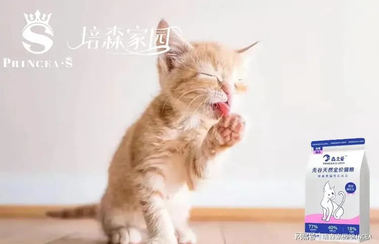猫咪真的可以感受到人类的情绪吗？